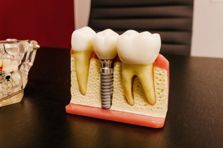 Best Dentist in Tampa, Florida